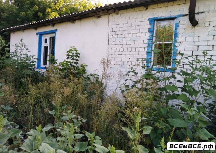 Погода в широкополье энгельсского. Широкополье Энгельсский район. Широкополье (Саратовская. Село Степное Энгельсский район Саратовская область. Широкополье Саратов.