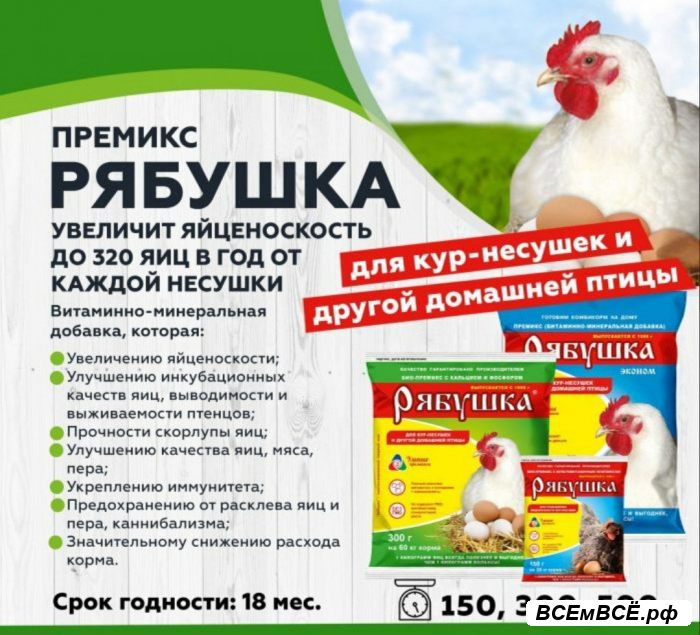 Премиксы Рябушка залог высокой яйценоскости, Раменское, цена 35 рублей. Смотри подробности на сайте Всемвсе!